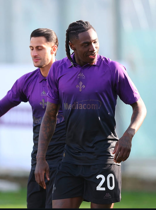 Fiorentina x Luisaviraoma
